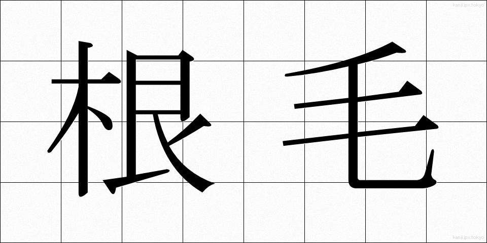 根毛 (こんもう)