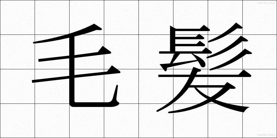 毛髪 (もうはつ)
