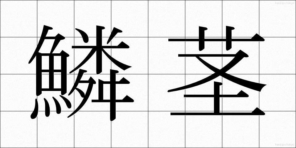鱗茎 (りんけい)