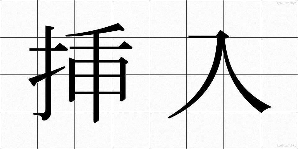 挿入 (そうにゅう)