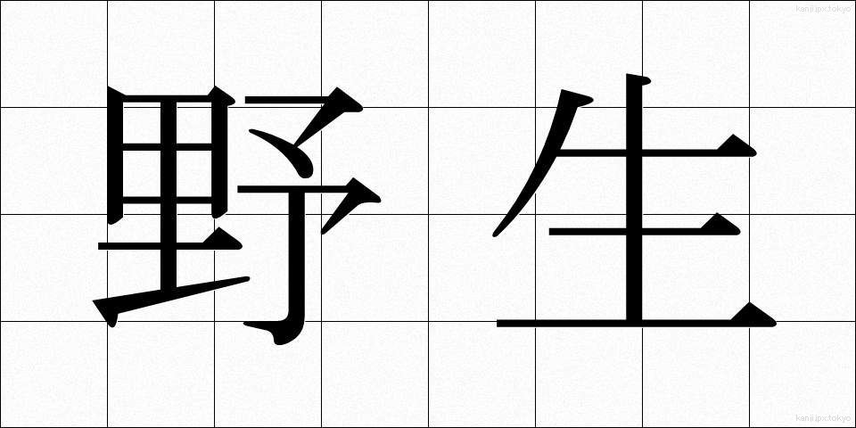 野生 (やせい)