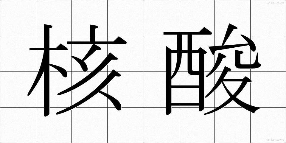 核酸 (かくさん)