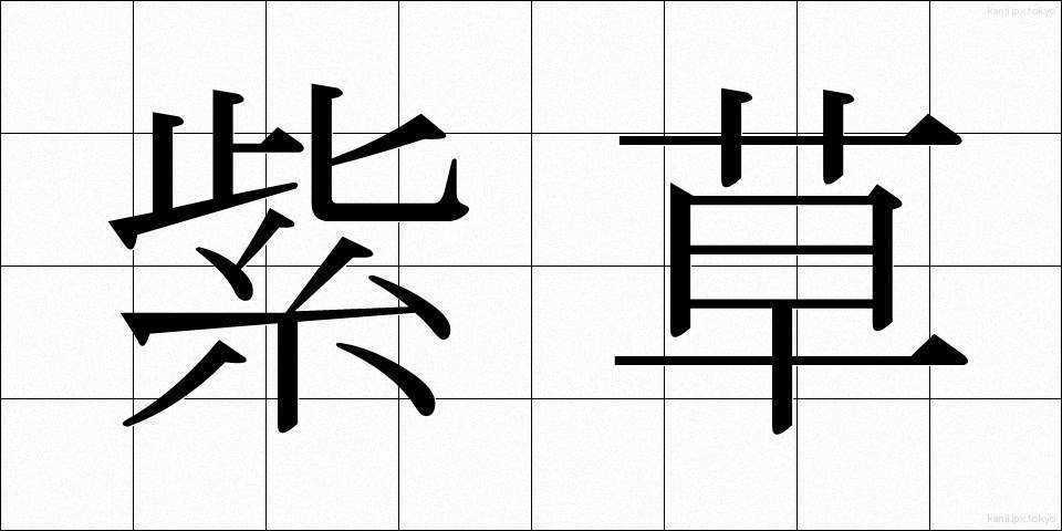 紫草 (しそう)