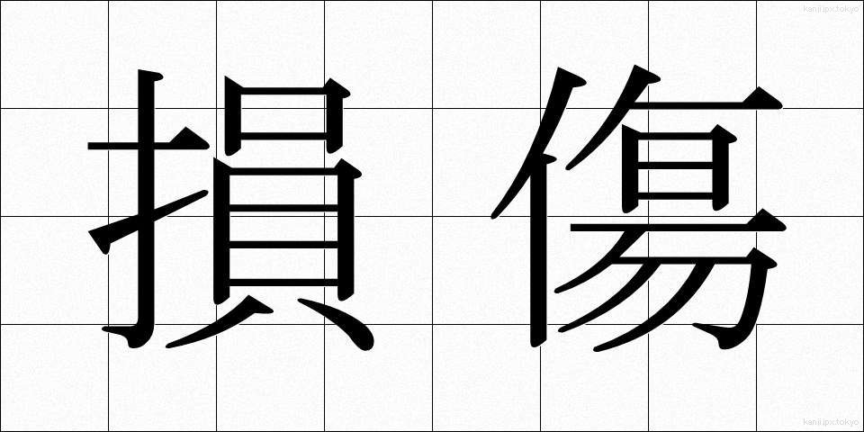 損傷 (そんしょう)