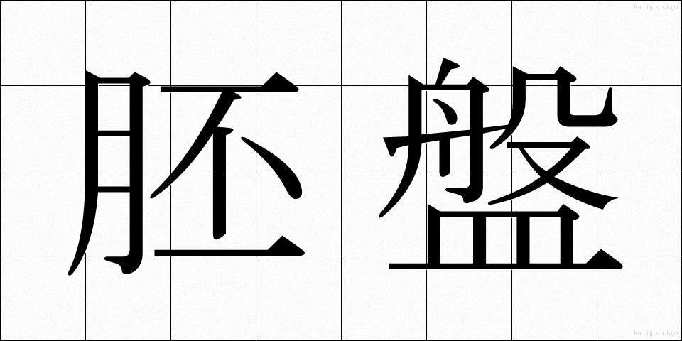 胚盤 (はいばん)