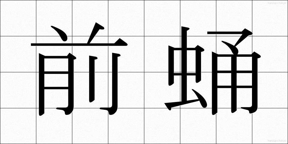 前蛹 (ぜんよう)