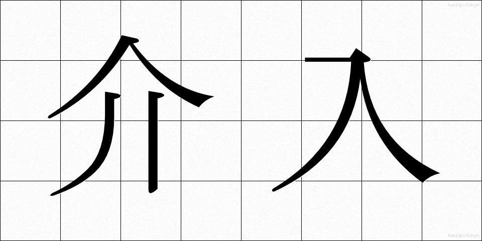 介入 (かいにゅう)