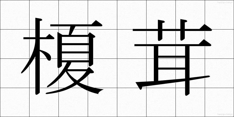 榎茸 (えのきたけ)
