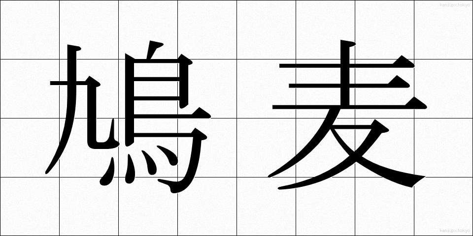 鳩麦 (はとむぎ)