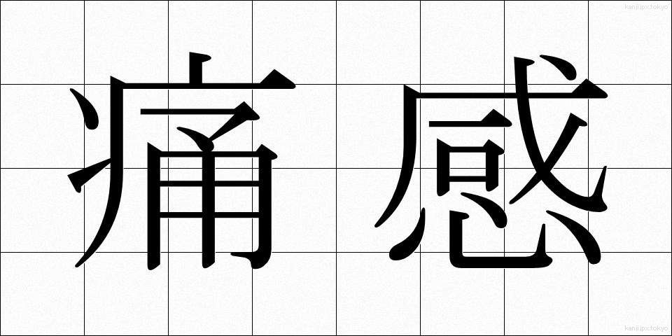 痛感 (つうかん)