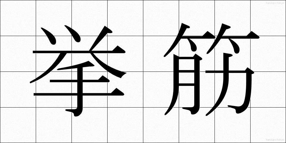 挙筋 (きょきん)