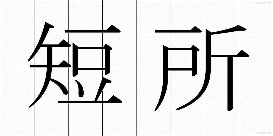 短所 (たんしょ)