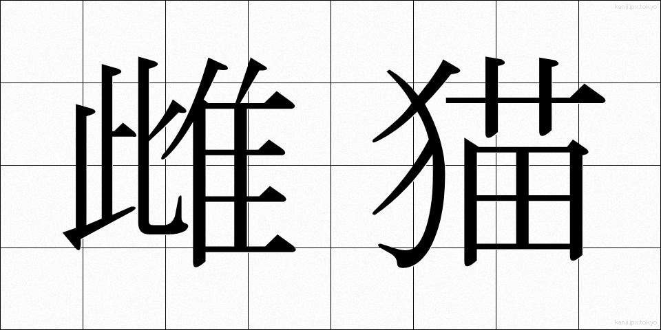 雌猫 (めねこ)