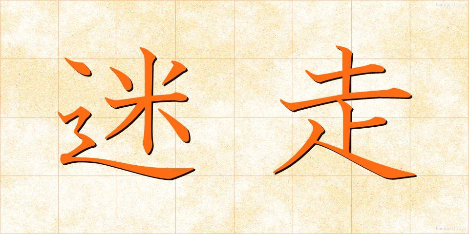 迷走 (めいそう)