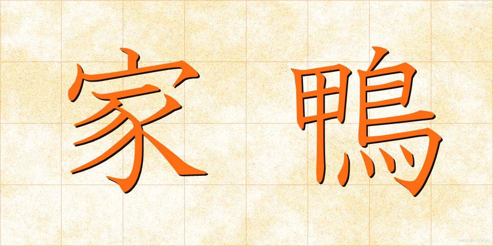 家鴨 (あひる)