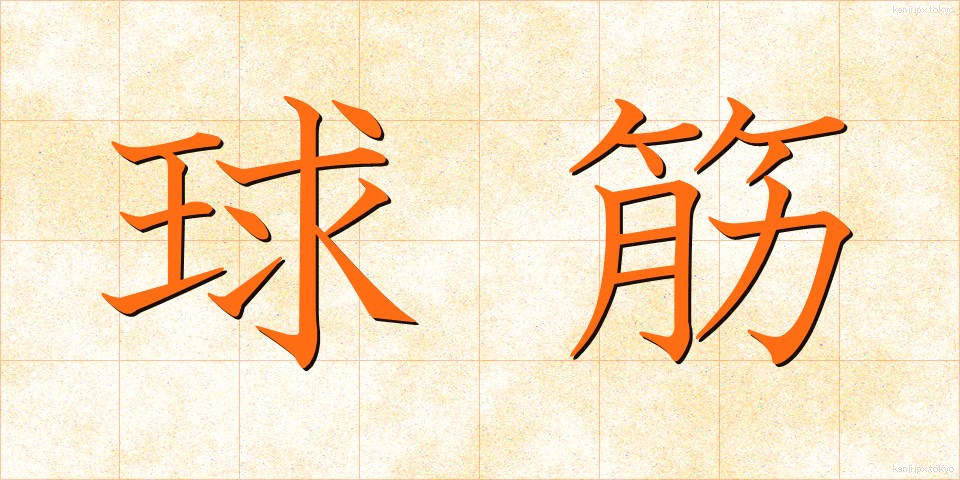 球筋 (きゅうすじ)