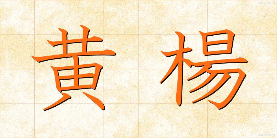 黄楊 (つげ)