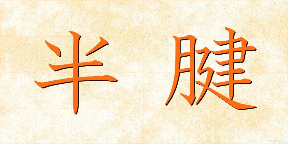 半腱 (はんけん)