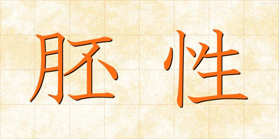 胚性 (はいせい)