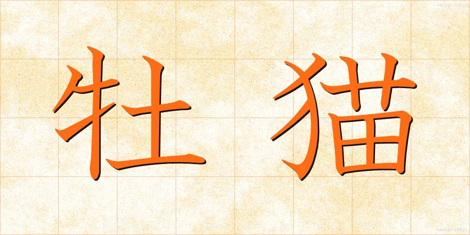 牡猫 (おすねこ)