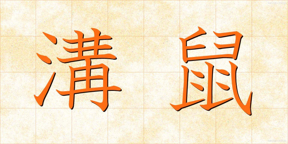 溝鼠 (どぶねずみ)