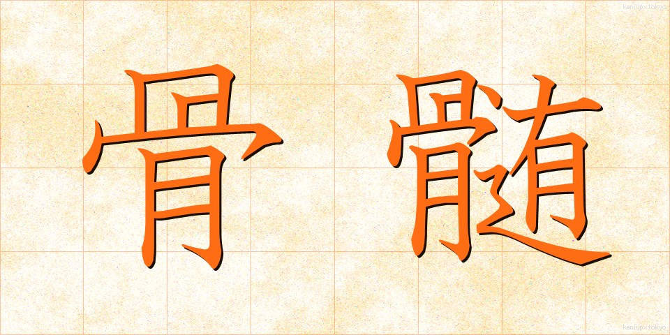 骨髄 (こつずい)