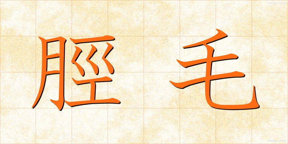 脛毛 (すねげ)