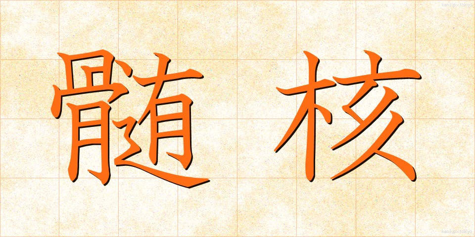 髄核 (ずいかく)