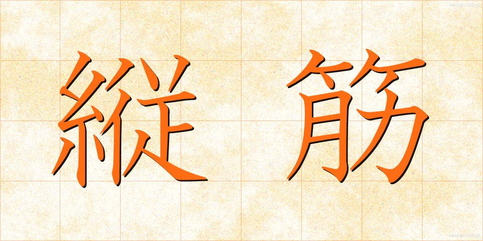 縦筋 (たてすじ)