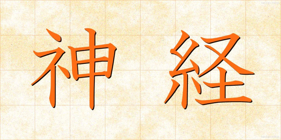 神経 (しんけい)