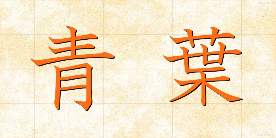 青葉 (あおば)