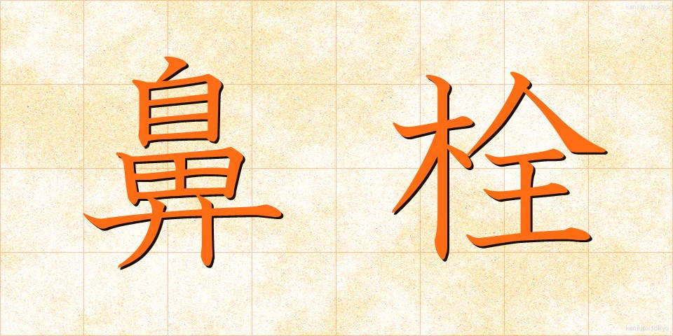 鼻栓 (びせん)