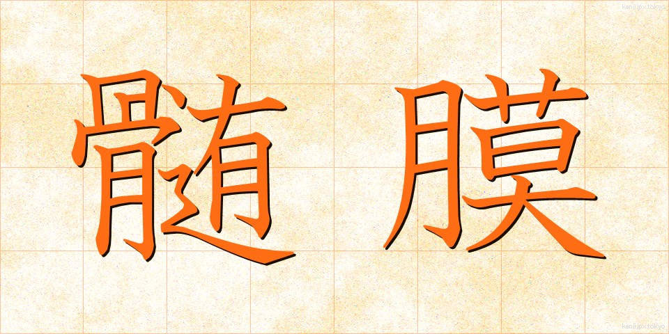 髄膜 (ずいまく)