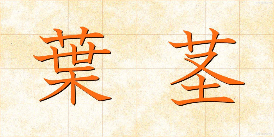 葉茎 (ようけい)