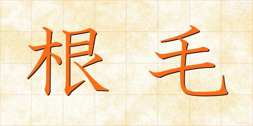 根毛 (こんもう)