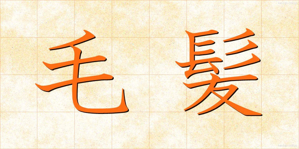毛髪 (もうはつ)