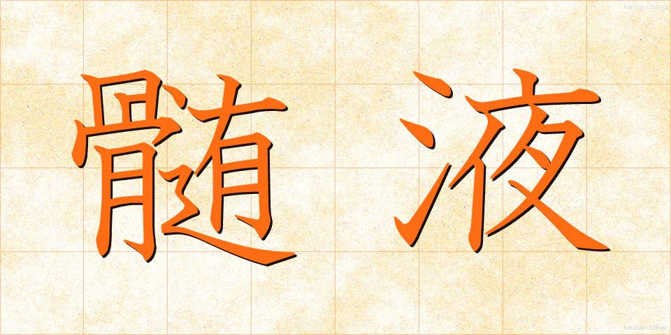 髄液 (ずいえき)