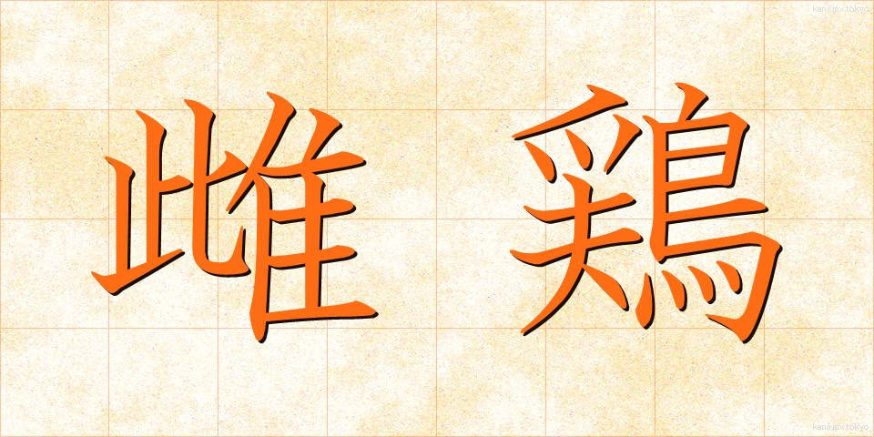 雌鶏 (めんどり)