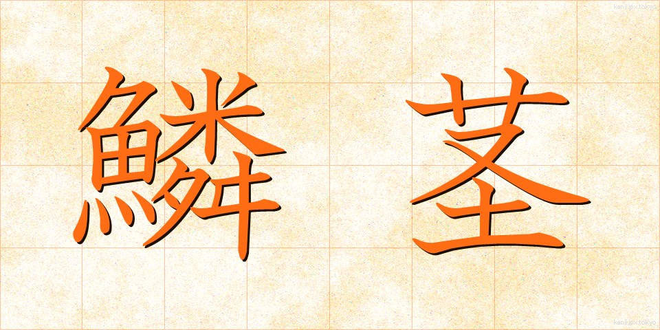 鱗茎 (りんけい)