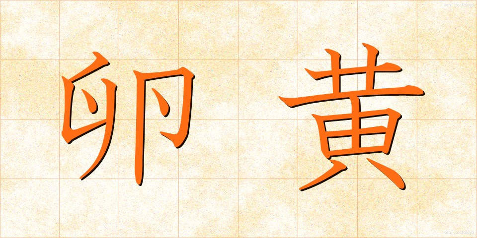 卵黄 (らんおう)