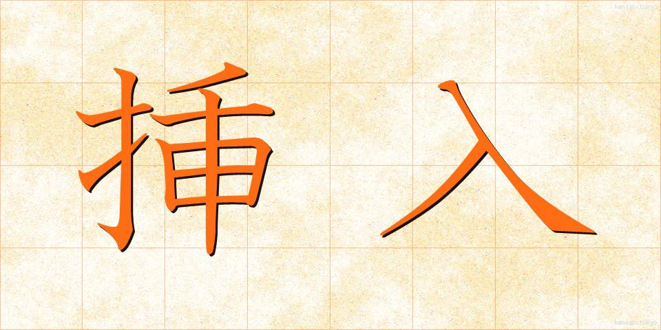 挿入 (そうにゅう)