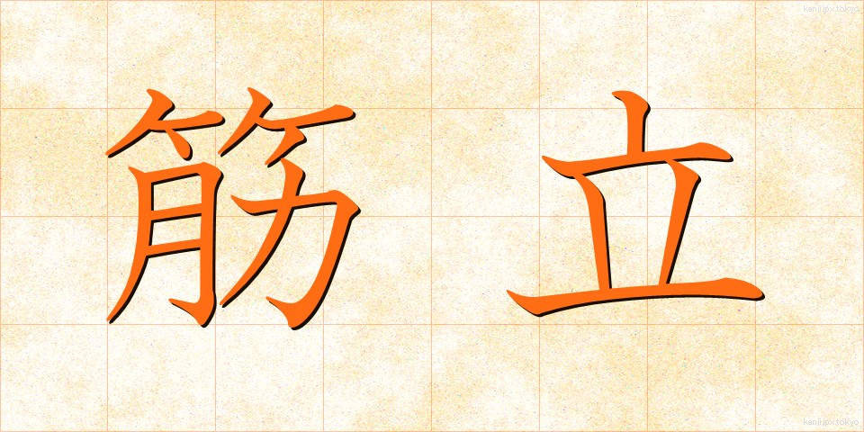 筋立 (すじたて)