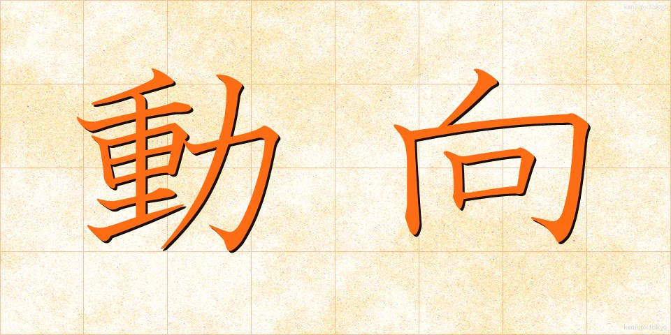 動向 (どうこう)