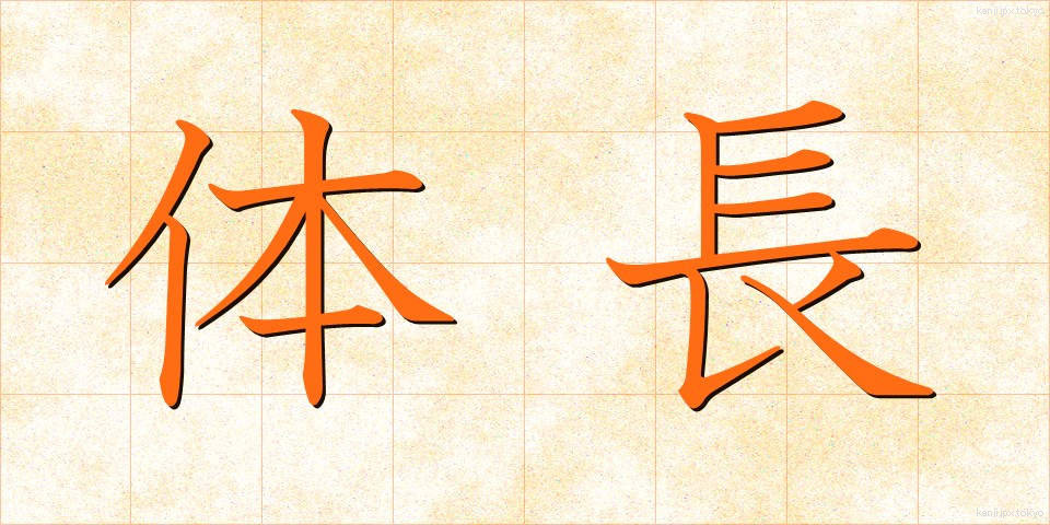 体長 (たいちょう)