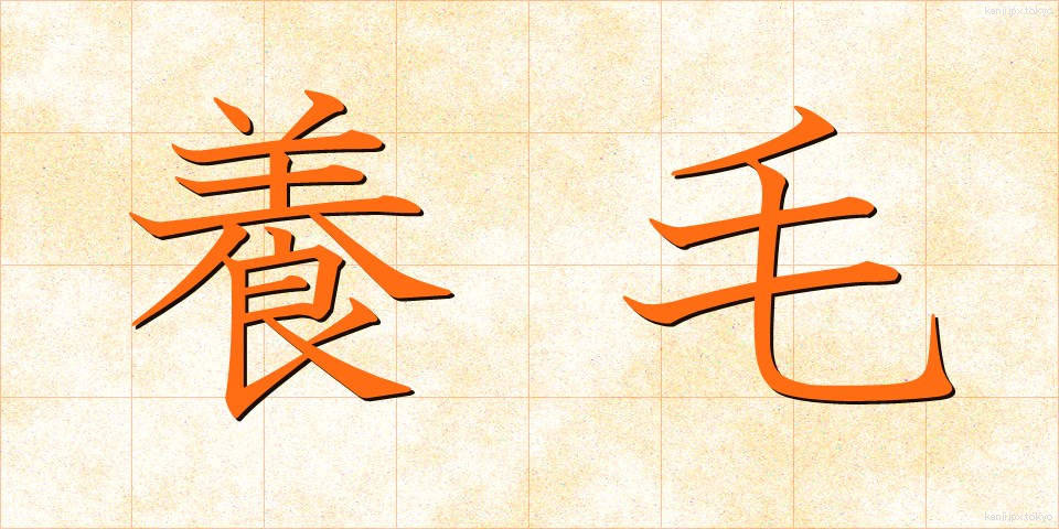 養毛 (ようもう)