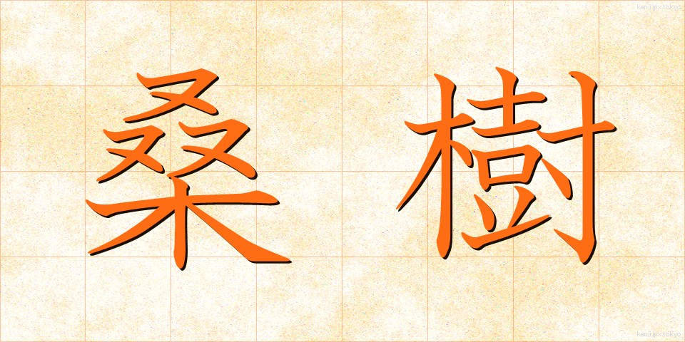 桑樹 (そうじゅ)
