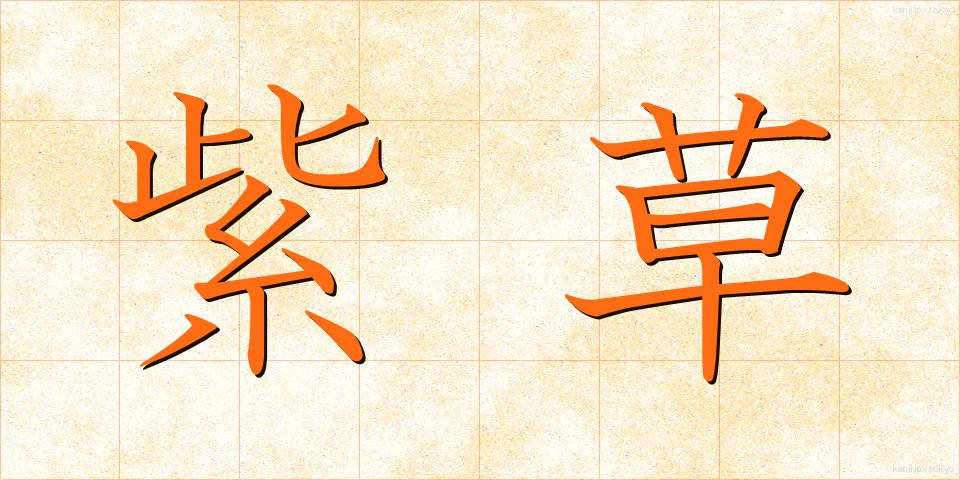 紫草 (しそう)
