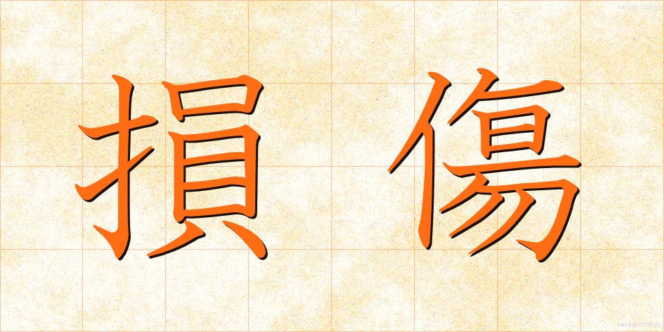 損傷 (そんしょう)