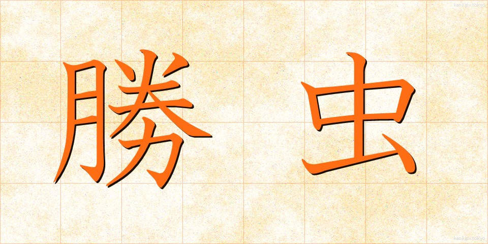 勝虫 (かつむし)