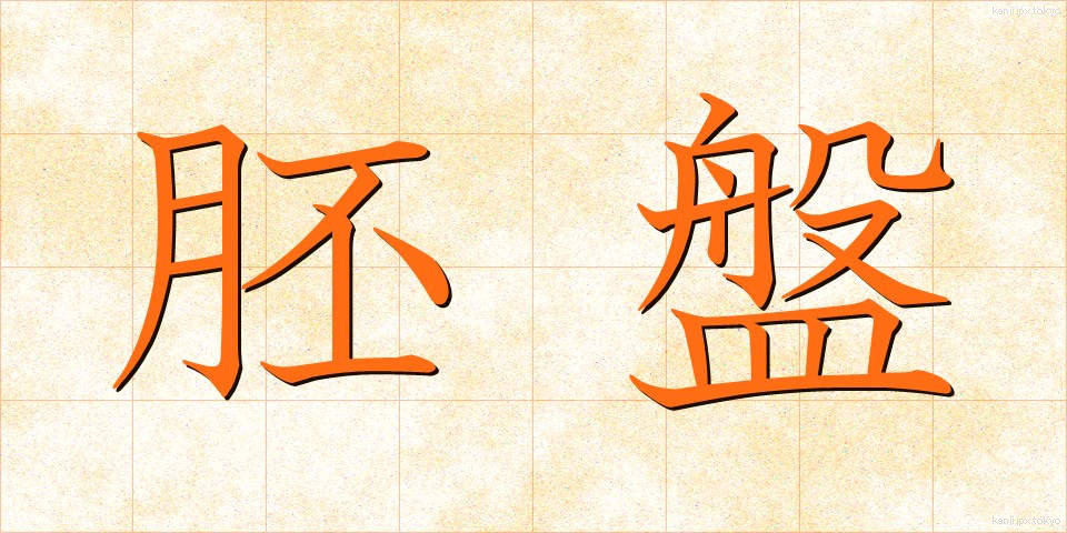 胚盤 (はいばん)